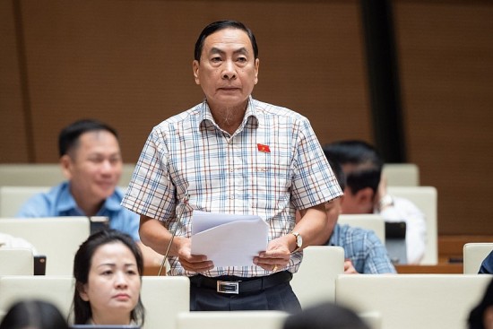 khong it nguoi nuoc ngoai nup bong ca nhan to chuc viet nam thau tom dat dai