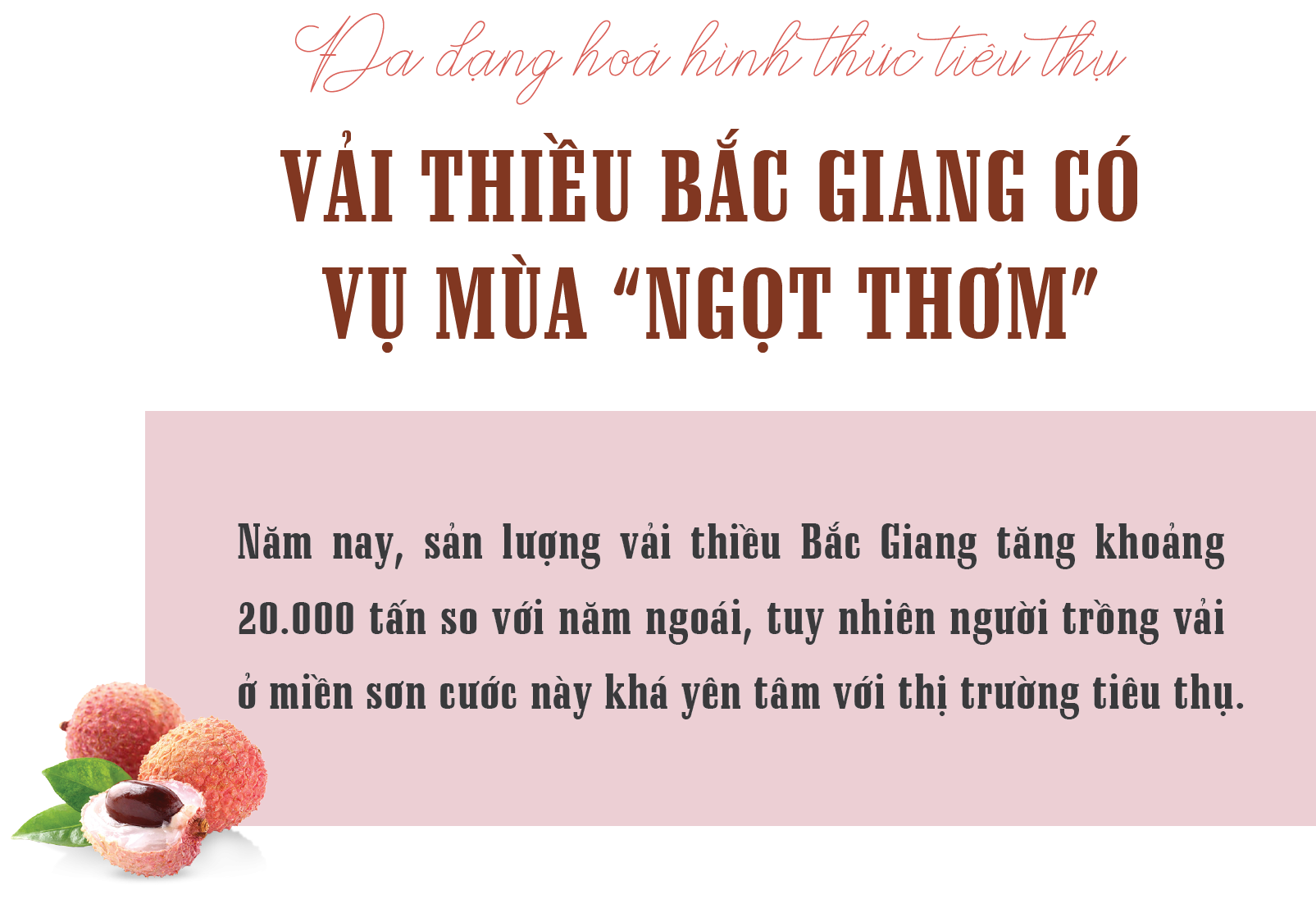 Đa dạng hóa hình thức tiêu thụ, vải thiều Bắc Giang có vụ mùa “ngọt thơm”