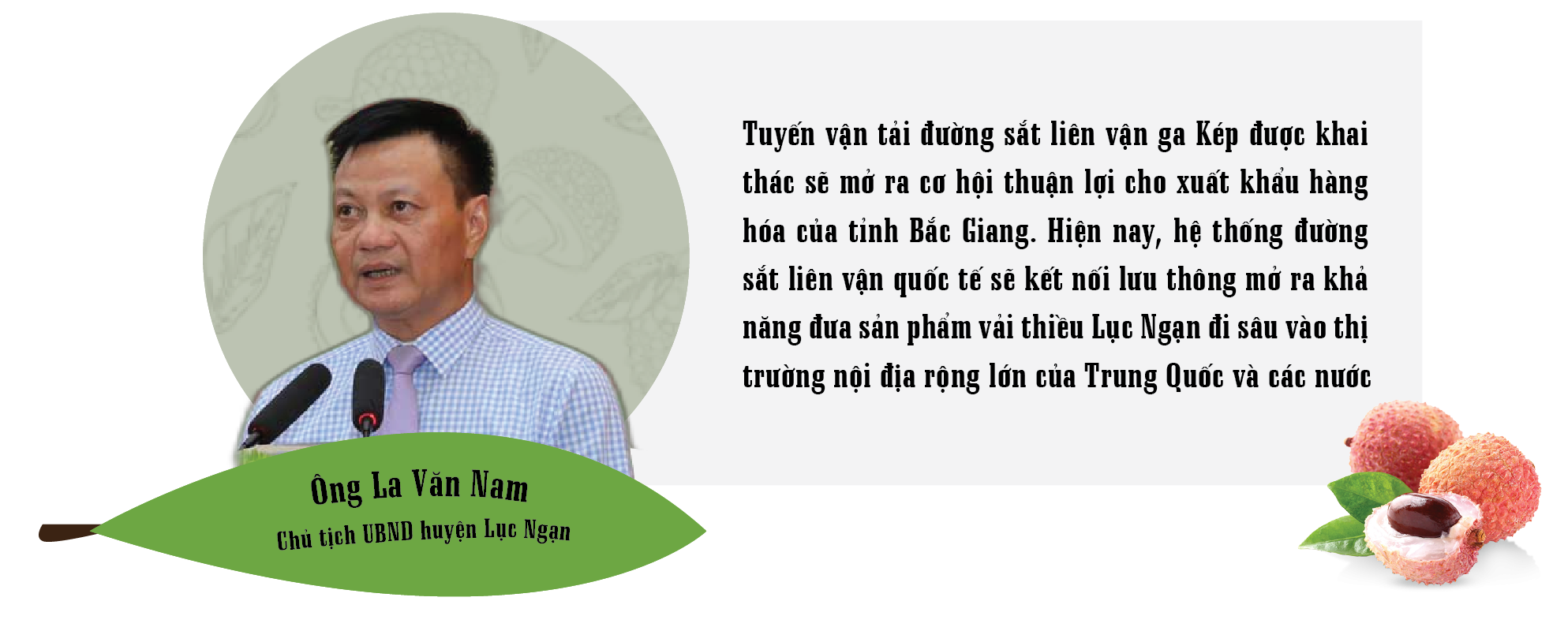 Đa dạng hóa hình thức tiêu thụ, vải thiều Bắc Giang có vụ mùa “ngọt thơm”