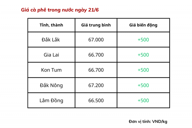 Giá cà phê hôm nay 21/6 dao động từ 66.500 - 67.200 đồng/kg.