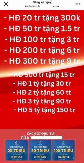 canh giac voi cac chieu tro keu goi hop tac dau tu tra lai theo ngay tuan