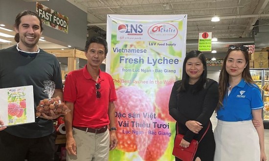 nong san viet hai trai ngot tu cong tac xuc tien thuong mai