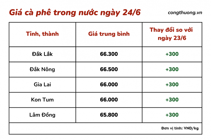 Giá cà phê hôm nay, 24/6: Giá cà phê trong nước vẫn duy trì mức cao