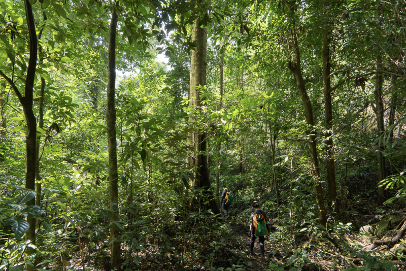 Oxalis Adventure với những điểm khám phá đẳng cấp thế giới