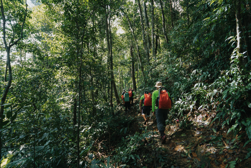 Oxalis Adventure với những điểm khám phá đẳng cấp thế giới
