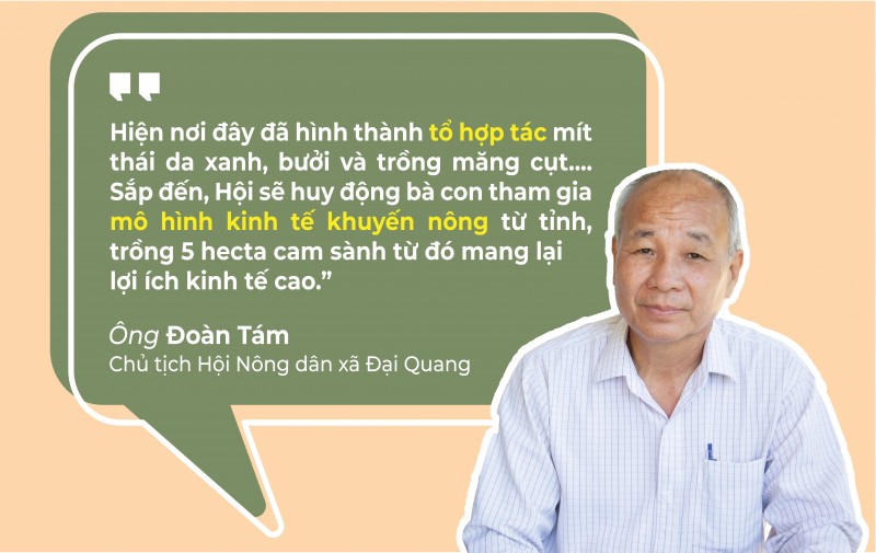 Quảng Nam: Nông dân vươn lên giảm nghèo ở vùng “rốn lũ”