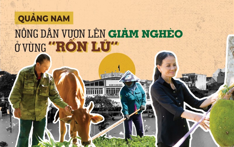 Quảng Nam: Nông dân vươn lên giảm nghèo ở vùng “rốn lũ”