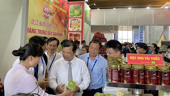 bac giang xuat khau 80 100 nghin tan vai thieu sang trung quoc moi nam