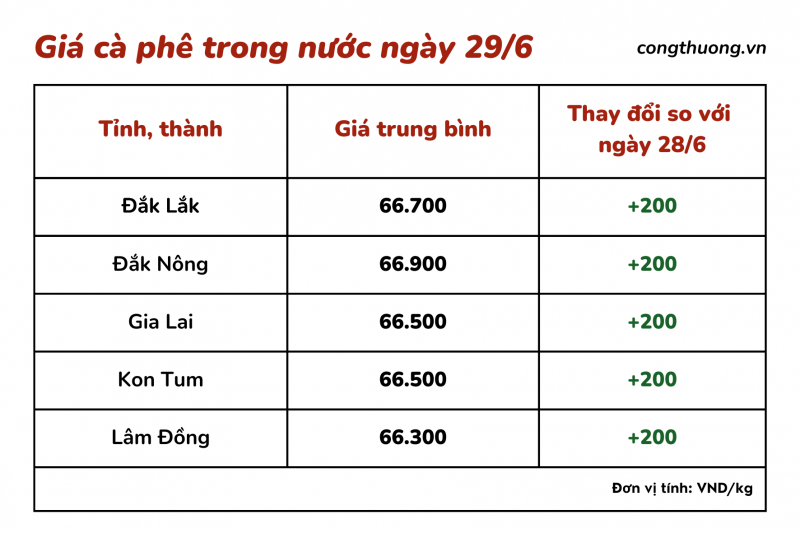 Giá cà phê hôm nay, 29/6/2023: Giá cà phê trong nước sát mốc 67.000 đồng/kg