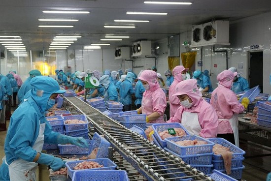 xuat khau thuy san viet nam thi truong my eu co the phuc hoi manh nua cuoi nam