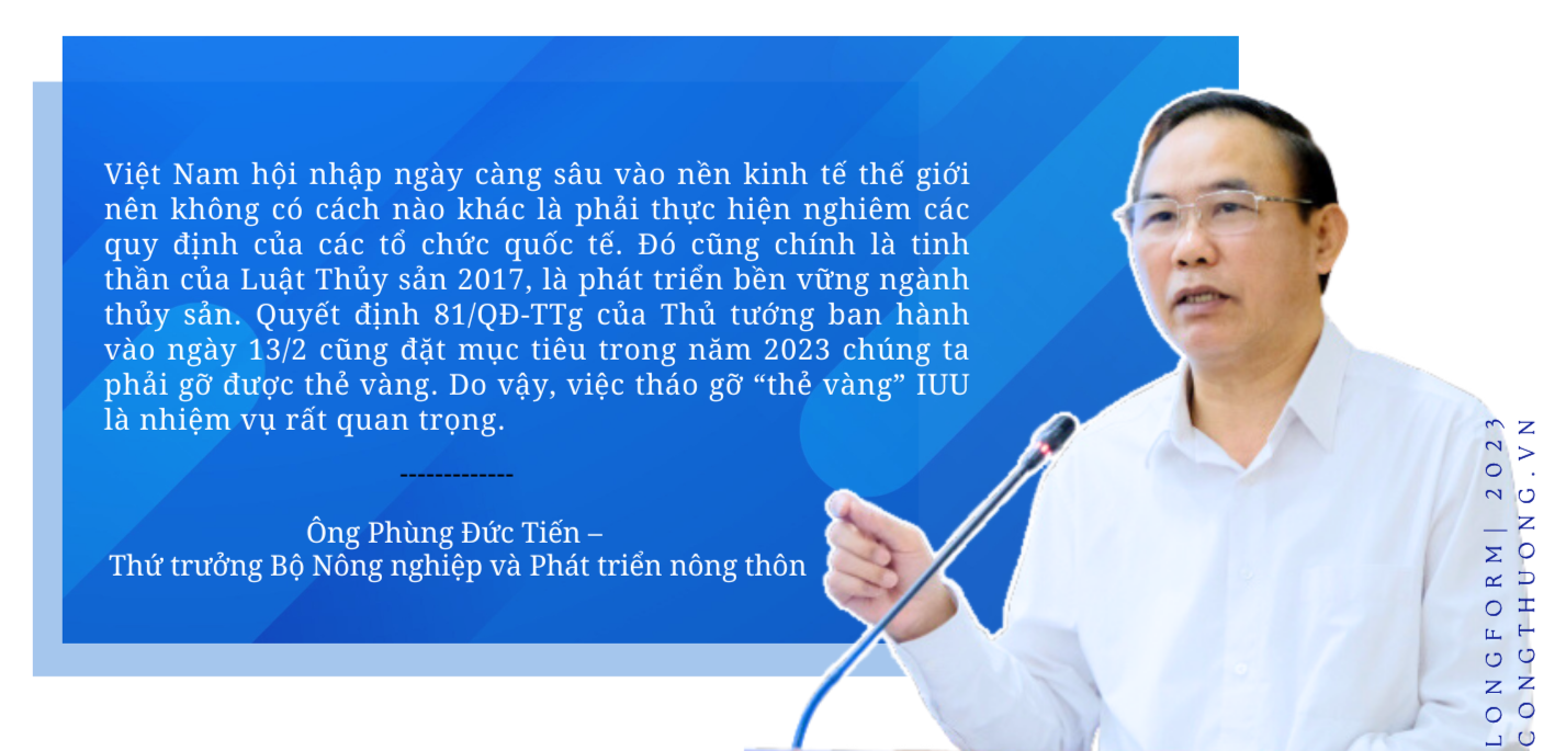 Longform | Gỡ “thẻ vàng” IUU: Hành trình gần 6 năm và kỳ vọng sớm hái “quả ngọt”