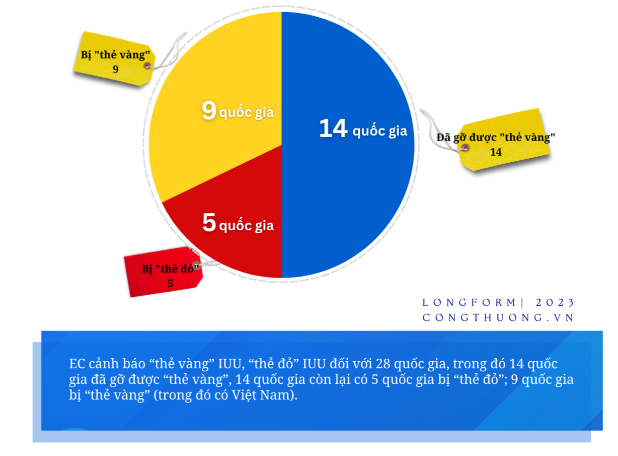 Longform | Gỡ “thẻ vàng” IUU: Hành trình gần 6 năm và kỳ vọng sớm hái “quả ngọt”