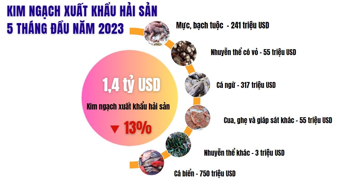 Longform | Gỡ “thẻ vàng” IUU: Hành trình gần 6 năm và kỳ vọng sớm hái “quả ngọt”