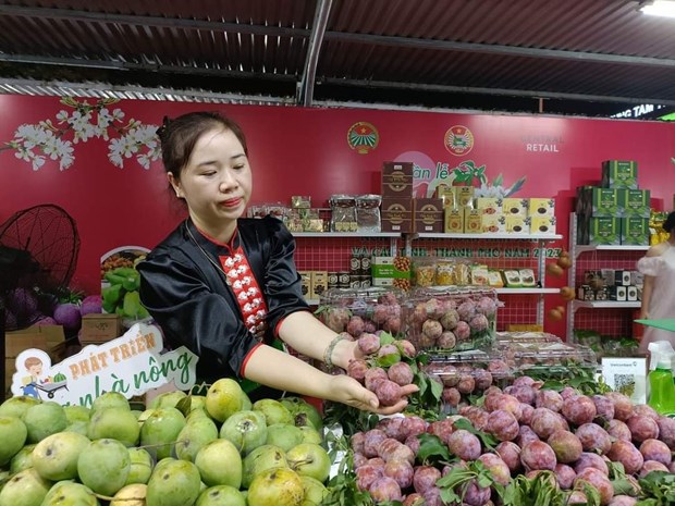 Xuc tien thuong mai: Tao dau ra on dinh, ben vung san pham nong nghiep hinh anh 1