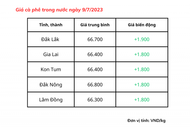 Giá cà phê hôm nay ngày 9/7/2023 dao động ở mức 66.300 - 66.800 đồng/kg.