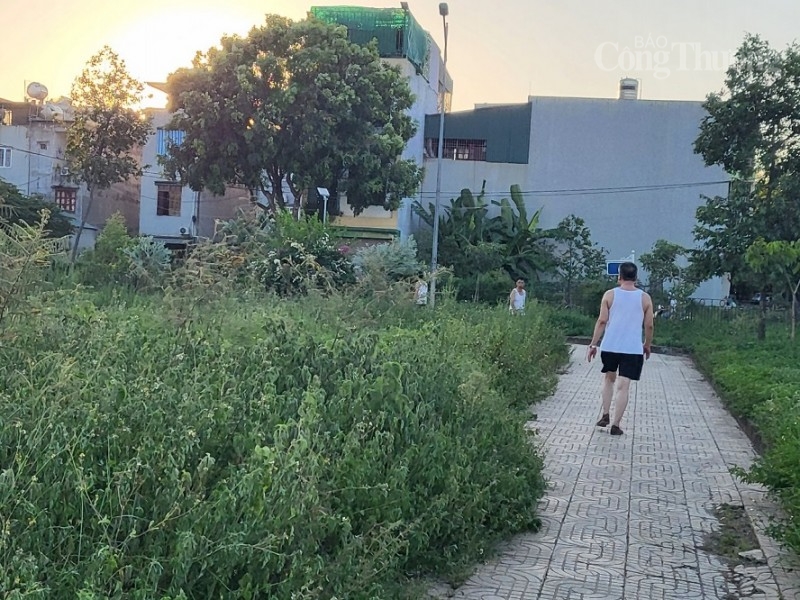 Công viên Quảng Xá giữa lòng thành phố Thanh Hóa xuống cấp, cỏ mọc um tùm