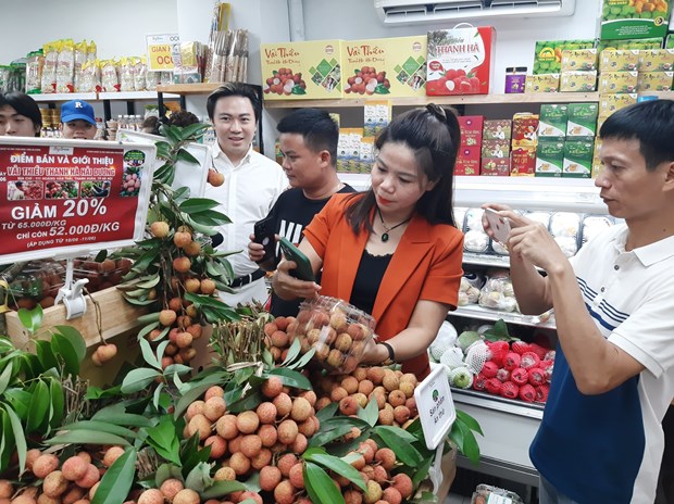 Cac website thuong mai dien tu khong dang ky se bi phat nang hinh anh 1
