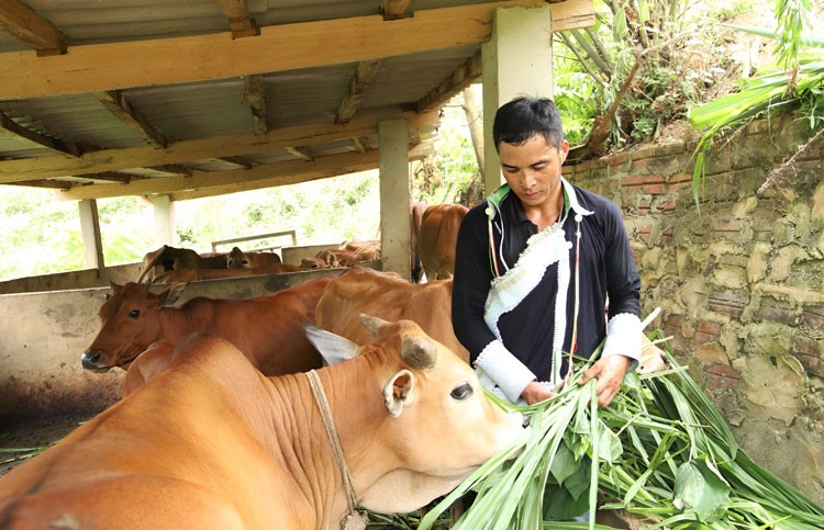 Đảng viên trẻ Lò Láo Lở học tập và làm theo Bác