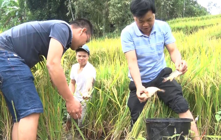 Hà Giang: Nâng cao hiệu quả du lịch trải nghiệm