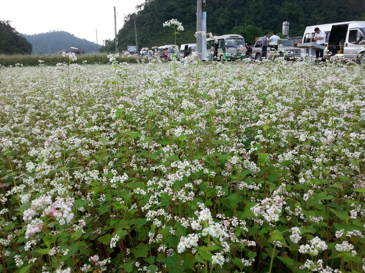 Hà Giang: Nâng cao hiệu quả du lịch trải nghiệm