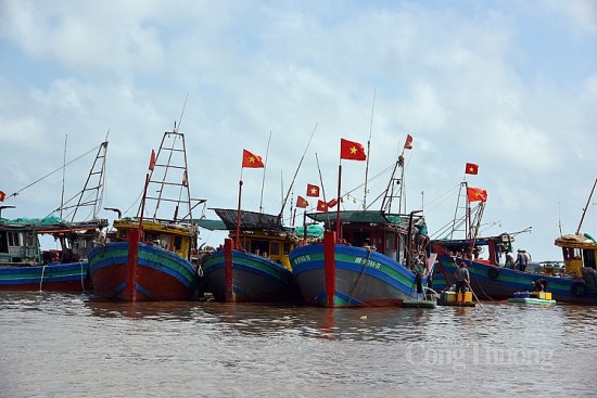 nam dinh trien khai nhieu bien phap phong chong bao so 1