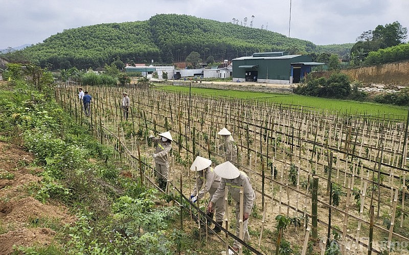 Bài 3: Giải pháp gia tăng giá trị kinh tế các sản phẩm OCOP