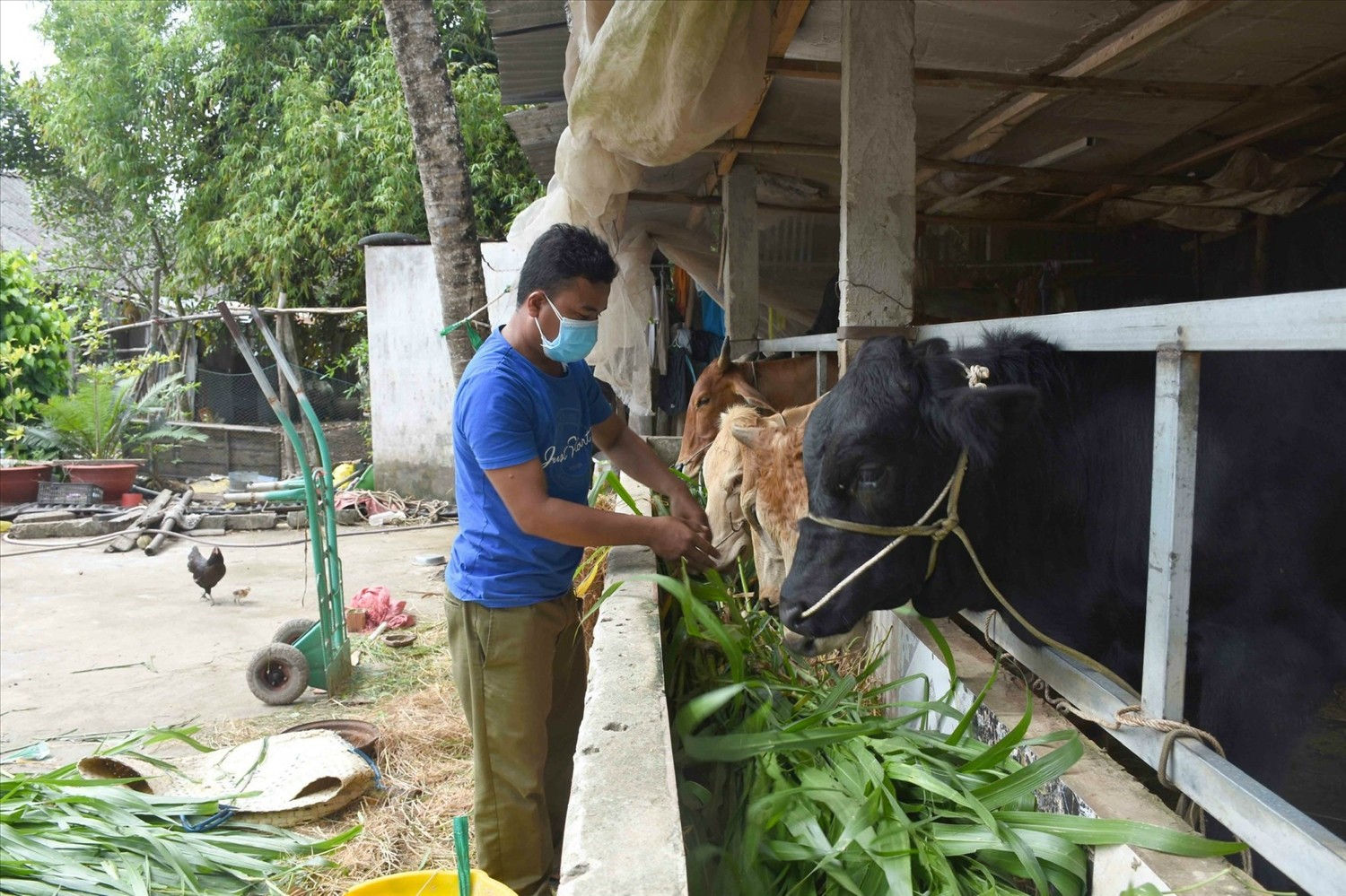 Sóc Trăng: Đẩy mạnh phát triển kinh tế - xã hội vùng đồng bào Khmer