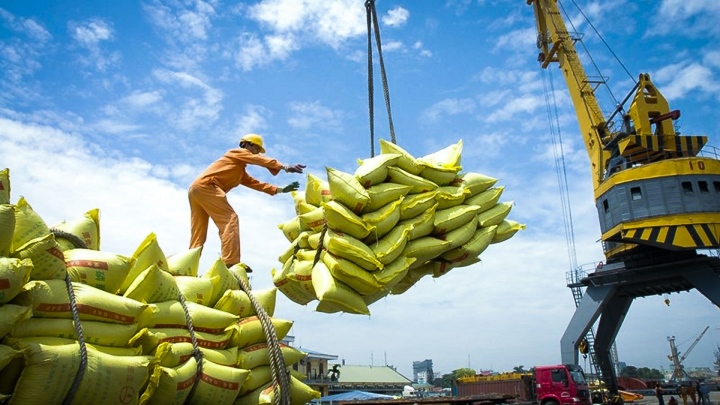 Giá lúa gạo hôm nay ngày 24/7/2023: Giá gạo tăng 200 đồng/kg mỗi ngày