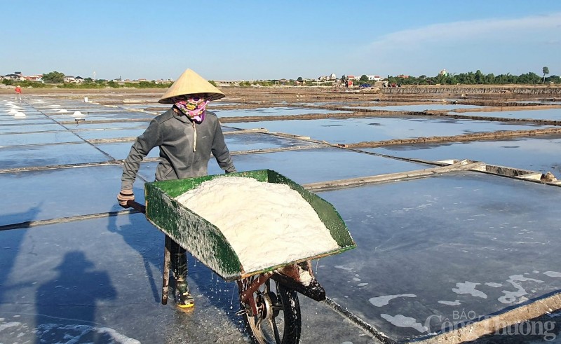 Quảng Bình: Diêm dân phấn khởi vì được mùa, được giá