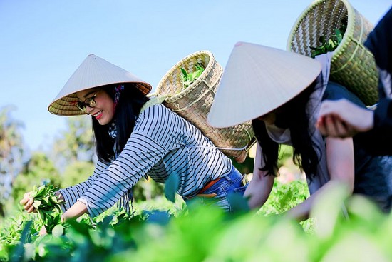 Du lịch nông nghiệp, du lịch nông thôn: Cần đi tìm "chìa khóa" chung