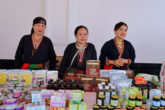 phat trien duoc lieu quy vung dan toc thieu so va mien nui tao sinh ke ben vung cho nguoi dan