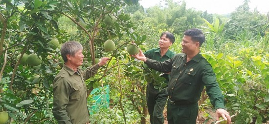 Những cựu chiến binh Bảo Thẳng xung kích trên trận tuyến mới