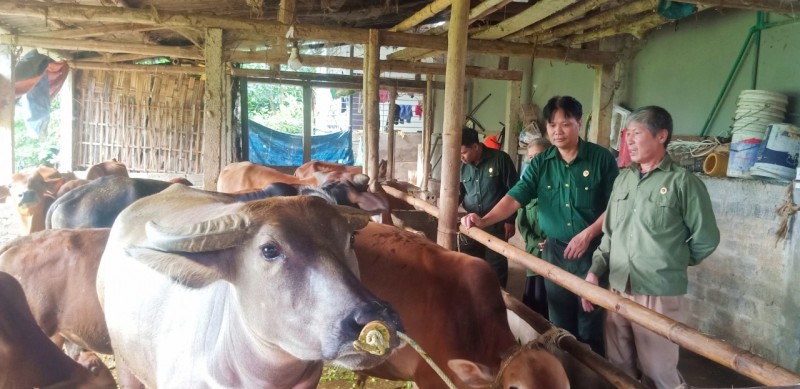 Những cựu chiến binh Bảo Thẳng xung kích trên trận tuyến mới