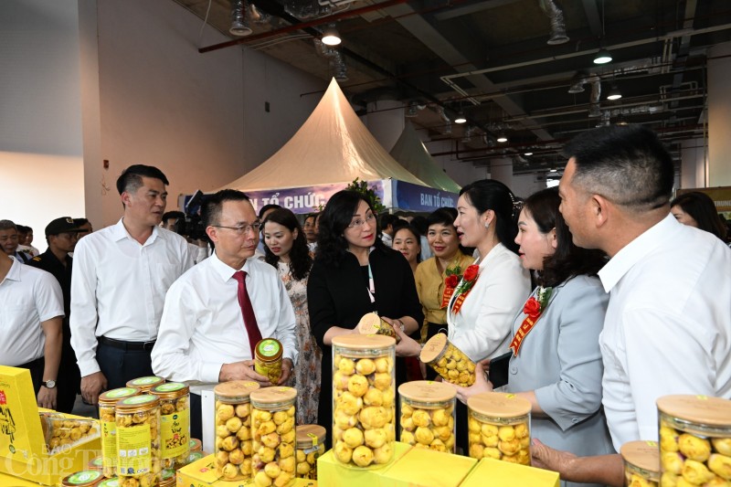 Hội chợ hàng công nghiệp nông thôn tiêu biểu phía Bắc năm 2023: "Đòn bẩy" quảng bá thương hiệu hiệu quả