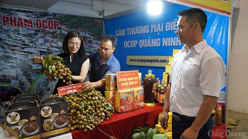 Đặc sắc các gian hàng tại Hội chợ triển lãm hàng công nghiệp, nông thôn khu vực phía Bắc Đặc sắc các gian hàng tại Hội chợ Triển lãm hàng công nghiệp nông thôn khu vực phía Bắc
