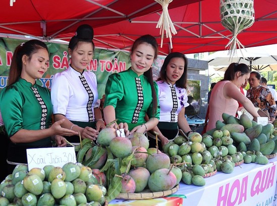 Bộ Công Thương vào cuộc xúc tiến thương mại cho sản phẩm xoài, nhãn Sơn La