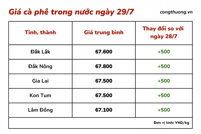 Giá cà phê hôm nay 29/7/2023: Cà phê trong nước tiếp đà tăng