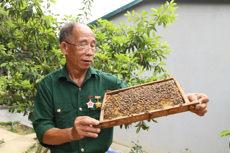 Cựu chiến binh Hoàng Văn Nguyên nêu gương sáng đời thường