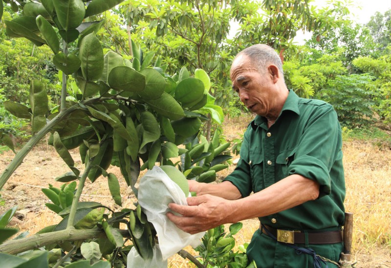 Cựu chiến binh Hoàng Văn Nguyên nêu gương sáng đời thường