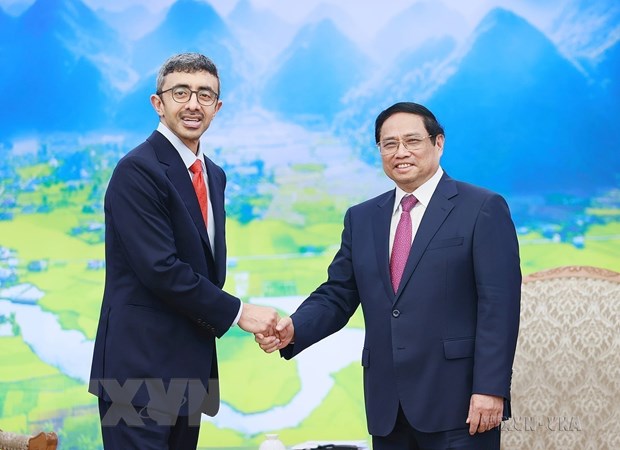 Quan he hop tac Viet Nam-UAE co nhung buoc phat trien vuot bac hinh anh 1