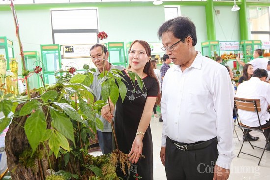 Quảng Nam: Rộn ràng phiên chợ sâm Ngọc Linh dịp 20 năm thành lập huyện Nam Trà My