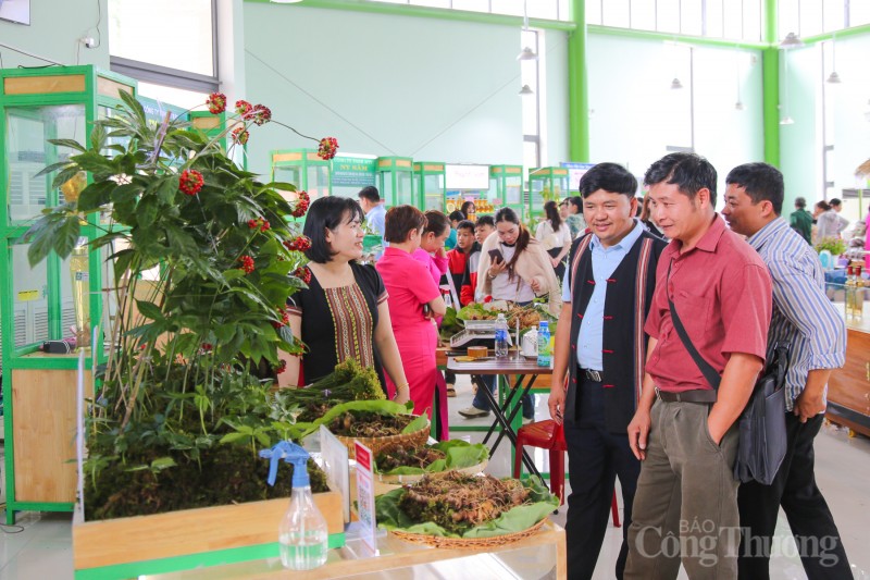 Quảng Nam: Rộn ràng phiên chợ sâm Ngọc Linh dịp 20 năm thành lập huyện Nam Trà My