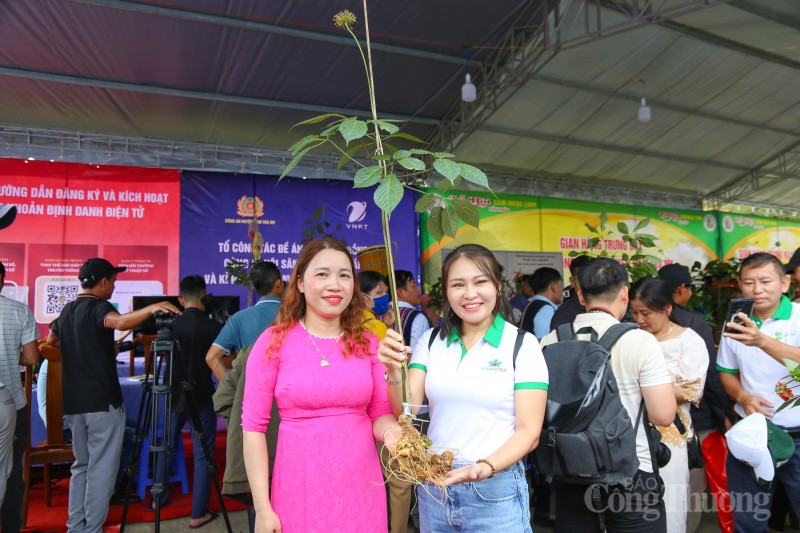 Quảng Nam: Rộn ràng phiên chợ sâm Ngọc Linh dịp 20 năm thành lập huyện Nam Trà My