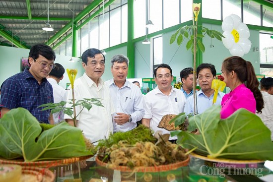 cung chung tay de som thanh lap hiep hoi san xuat sam viet nam