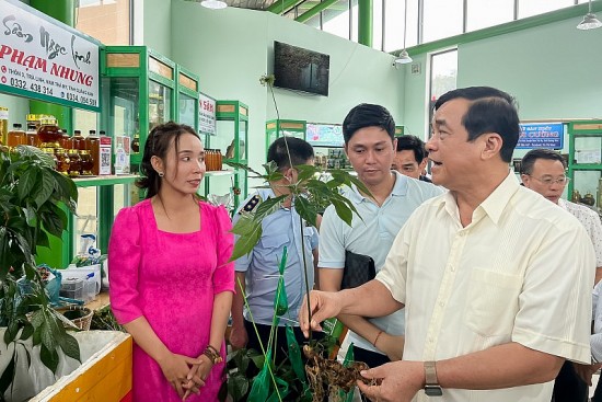 xay dung nam tra my thanh trung tam giong duoc lieu quy hiem cua quoc gia