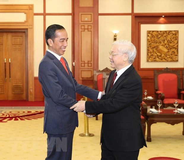 Tao dong luc moi de thuc day quan he Viet Nam-Indonesia hinh anh 1
