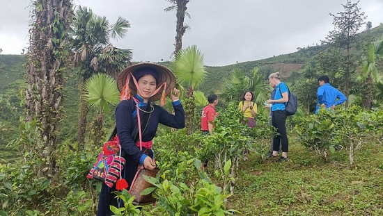 Người phụ nữ Tày tiên phong làm du lịch cộng đồng ở vùng cao Bắc Hà