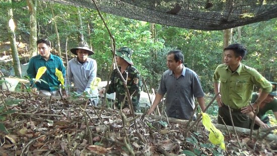 thanh lap hiep hoi san xuat sam viet nam do ong vo kim cu lam truong ban voi muc dich gi