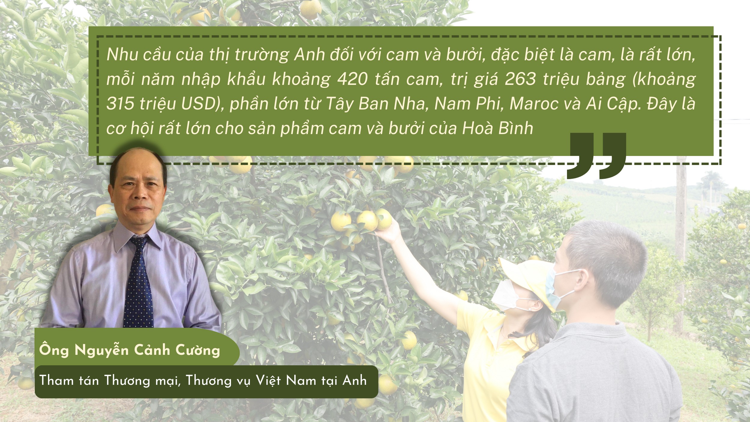 Longform | Nông sản Hòa Bình chinh phục thị trường thế giới