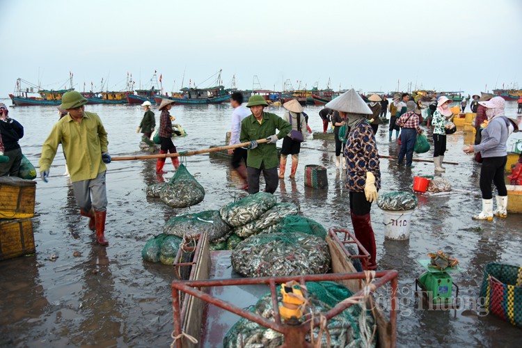 Độc lạ chợ cá Giao Hải: “Nước” càng nhỏ giá lại càng cao